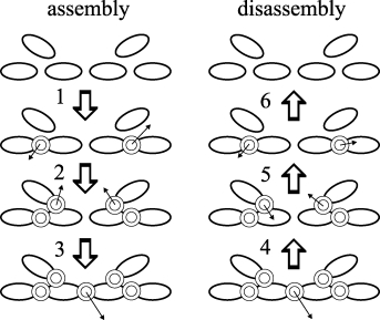 Concept of O(N) Forward Dynamics