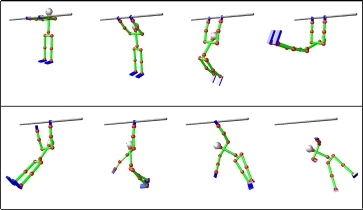 Simulation of a Human Figure