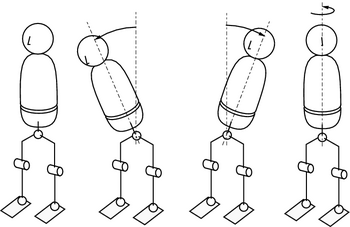 double-spherical hip joint