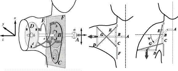 Kinematic structure of Cybernetic Shoulder