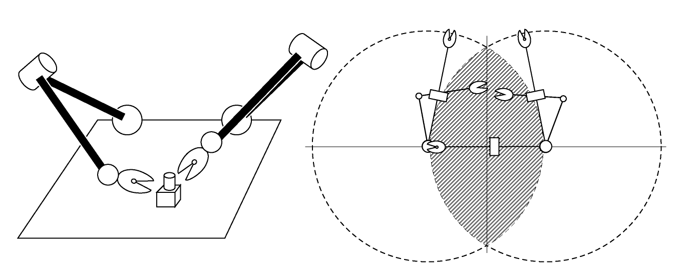 ordinary shoulder joint